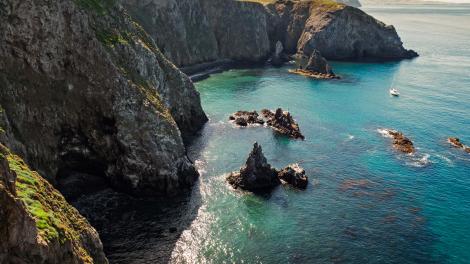 Keeping an eye out for seals and sea lions from the Cathedral Cove overlook