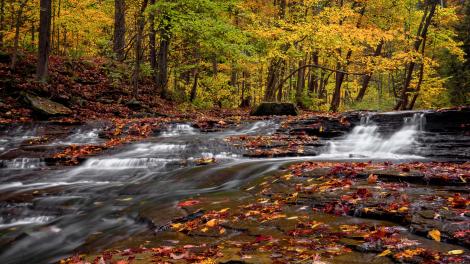 Cascading water and fall foliage on the Brandywine Creek trail 