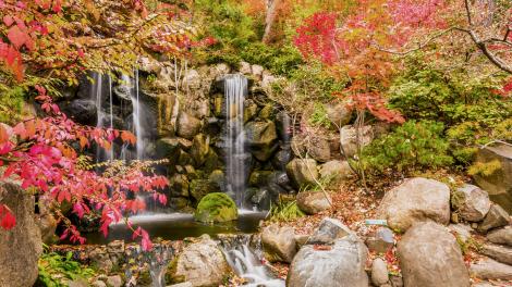 Waterfall and vivid fall foliage in Anderson Japanese Gardens