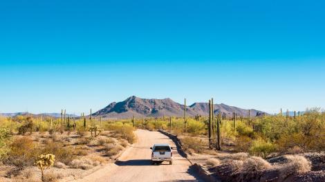 Pintoresco viaje entre los cactus saguaro en el Sonoran Desert en Arizona