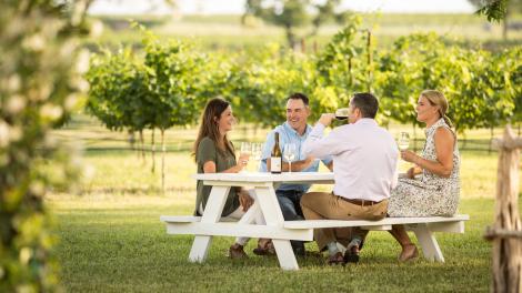 Sipping wine among the vines at Signor Vineyards