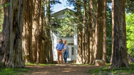 Les cèdres rouges remplis d’histoire entourant Rowan Oak, demeure de l’écrivain William Faulkner, à Oxford, Mississippi