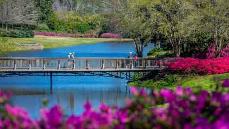 앨라배마주 모빌의 벨링그라스 가든즈