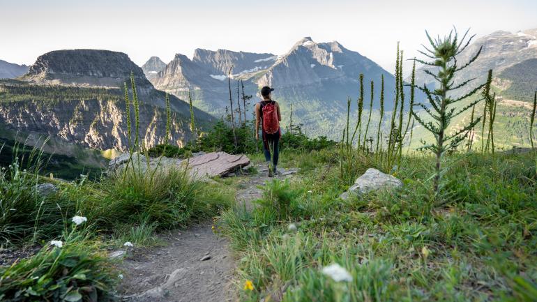 在冰川国家公园内沿着 Highline Trail 小径徒步探索 在冰川国家公园内沿着 Highline Trail 小径徒步探索