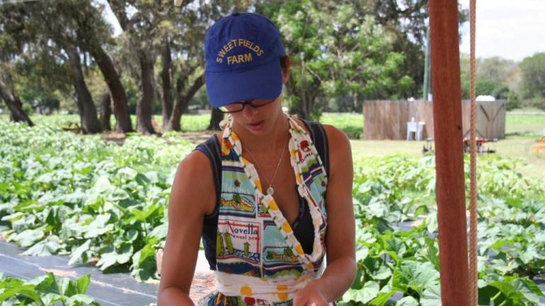 Les fermiers locaux invitent les aventuriers culinaires à participer à des festivals et à des séances de cueillette de fruits en libre-service.