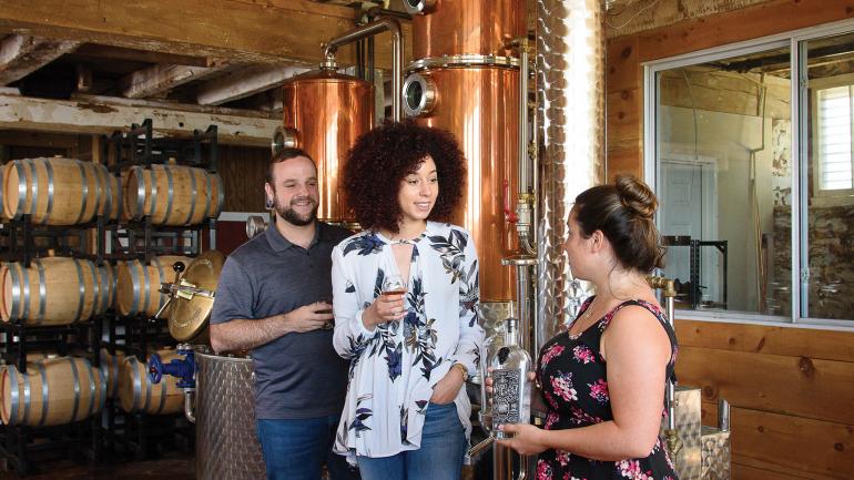 Springfield Manor Winery Distillery Brewery 酒厂位于马里兰州瑟蒙特市一座历史悠久的庄园内,最早可追溯到 1765 年。 Springfield Manor Winery Distillery Brewery 酒厂位于马里兰州瑟蒙特市一座历史悠久的庄园内,最早可追溯到 1765 年。