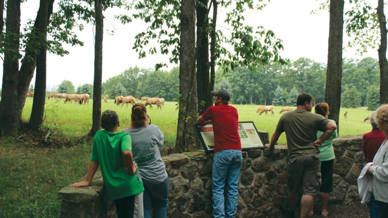 在 Elk Country Visitor Center 游客中心观赏麋鹿 在 Elk Country Visitor Center 游客中心观赏麋鹿