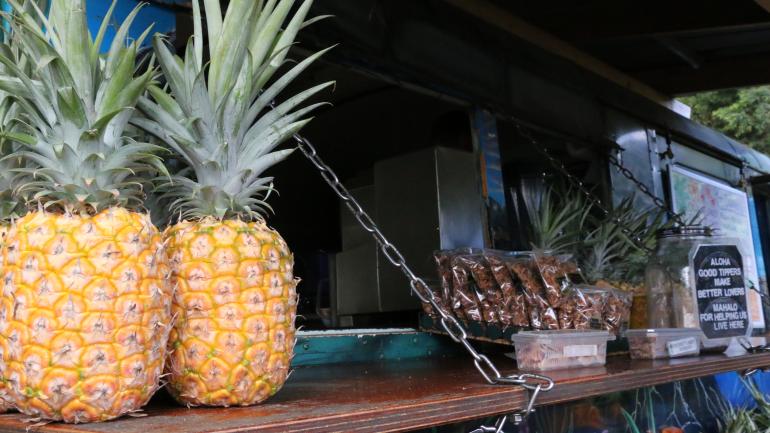 The pineapple, a symbol of wealth, welcome and good fortune