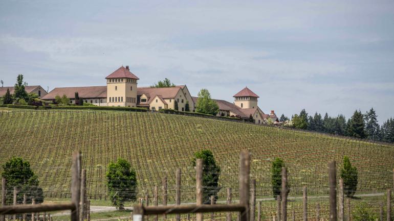 威拉米特河谷的尤金 King Estate Winery 酒庄 威拉米特河谷的尤金 King Estate Winery 酒庄