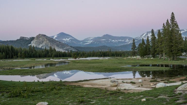 La extensión verde de Tuolumne Meadows
