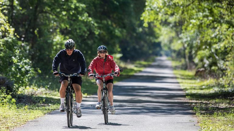 Radtour auf dem von Bäumen gesäumten Withlacoochee State Trail