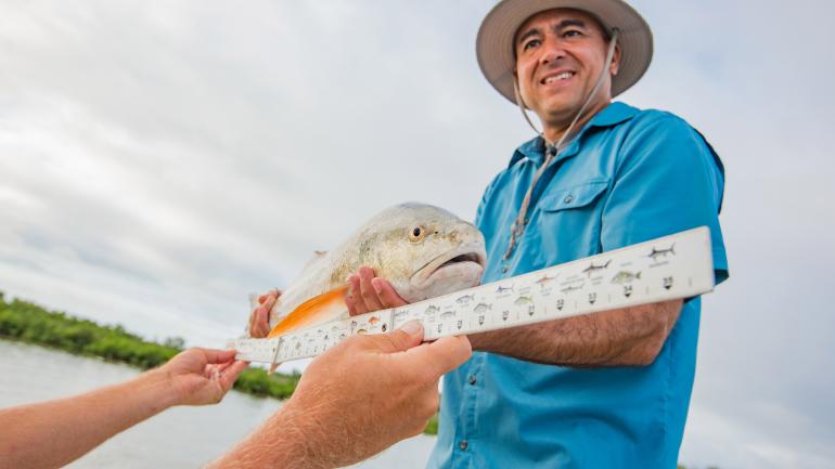 Messung des Tagesfangs bei einer Angeltour