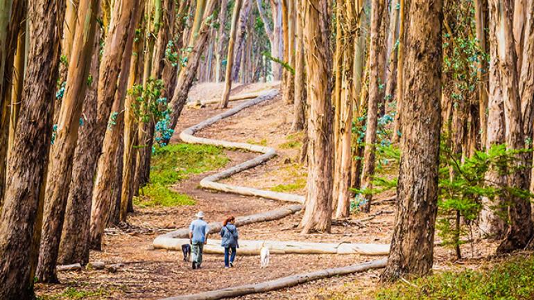 沿着 Wood Line 艺术风情小路漫步 沿着 Wood Line 艺术风情小路漫步