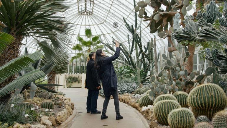 纽约植物园 纽约植物园
