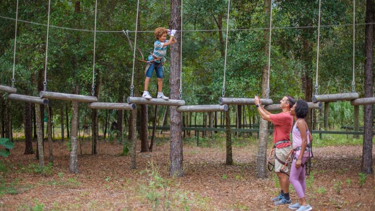 在奥兰多 Tree Trek 探险公园体验摇摆木桩项目 在奥兰多 Tree Trek 探险公园体验摇摆木桩项目