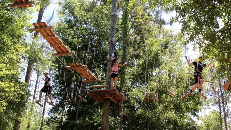 攀爬经过奥兰多 Tree Trek 探险公园的树顶挑战线路 攀爬经过奥兰多 Tree Trek 探险公园的树顶挑战线路