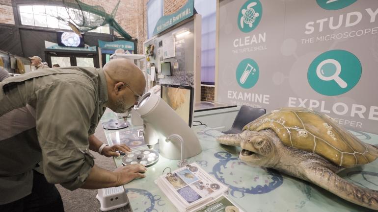 Exploring interactive educational installations at the Georgia Sea Turtle Center on Jekyll Island