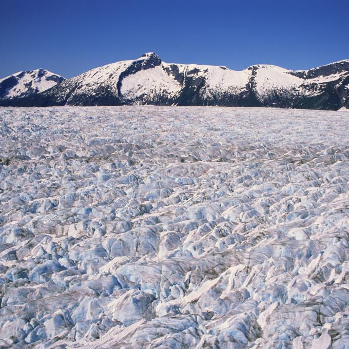 世界上最厚的塔库冰川(Taku Glacier)靠近阿拉斯加州朱诺 世界上最厚的塔库冰川(Taku Glacier)靠近阿拉斯加州朱诺