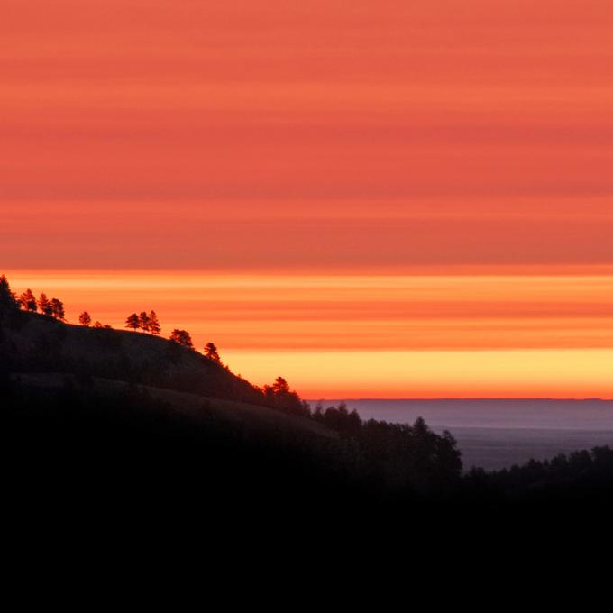 夕阳下名副其实的黑山常绿森林 夕阳下名副其实的黑山常绿森林