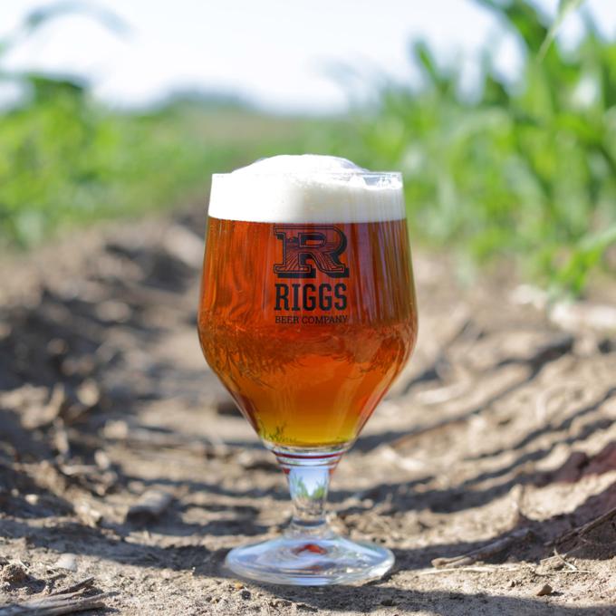 伊利诺伊州厄巴纳 Riggs Beer Company 啤酒厂出产的一杯啤酒 伊利诺伊州厄巴纳 Riggs Beer Company 啤酒厂出产的一杯啤酒