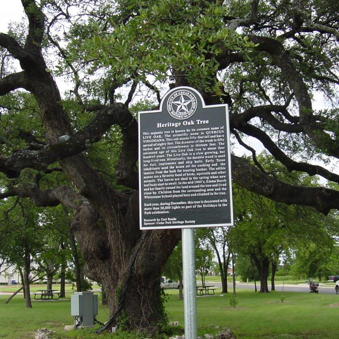 德克萨斯州 Cedar Park 的 Heritage Oak 公园 德克萨斯州 Cedar Park 的 Heritage Oak 公园
