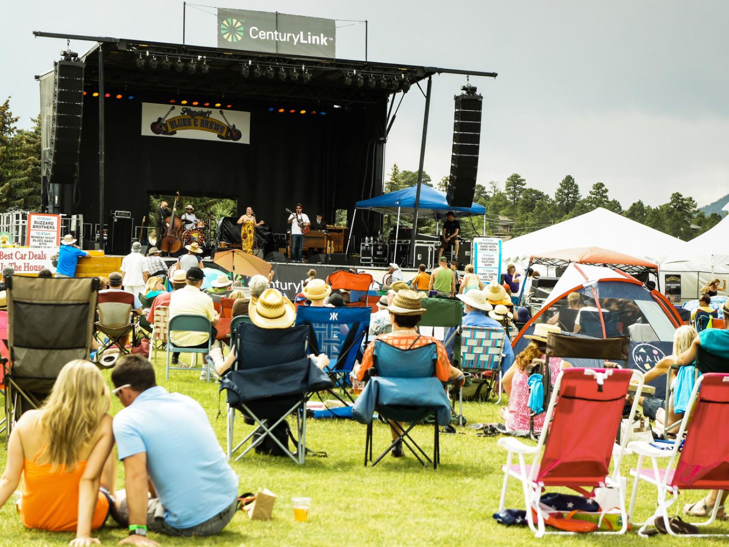 Enjoying the tunes at the  Blues & Brews Festival 