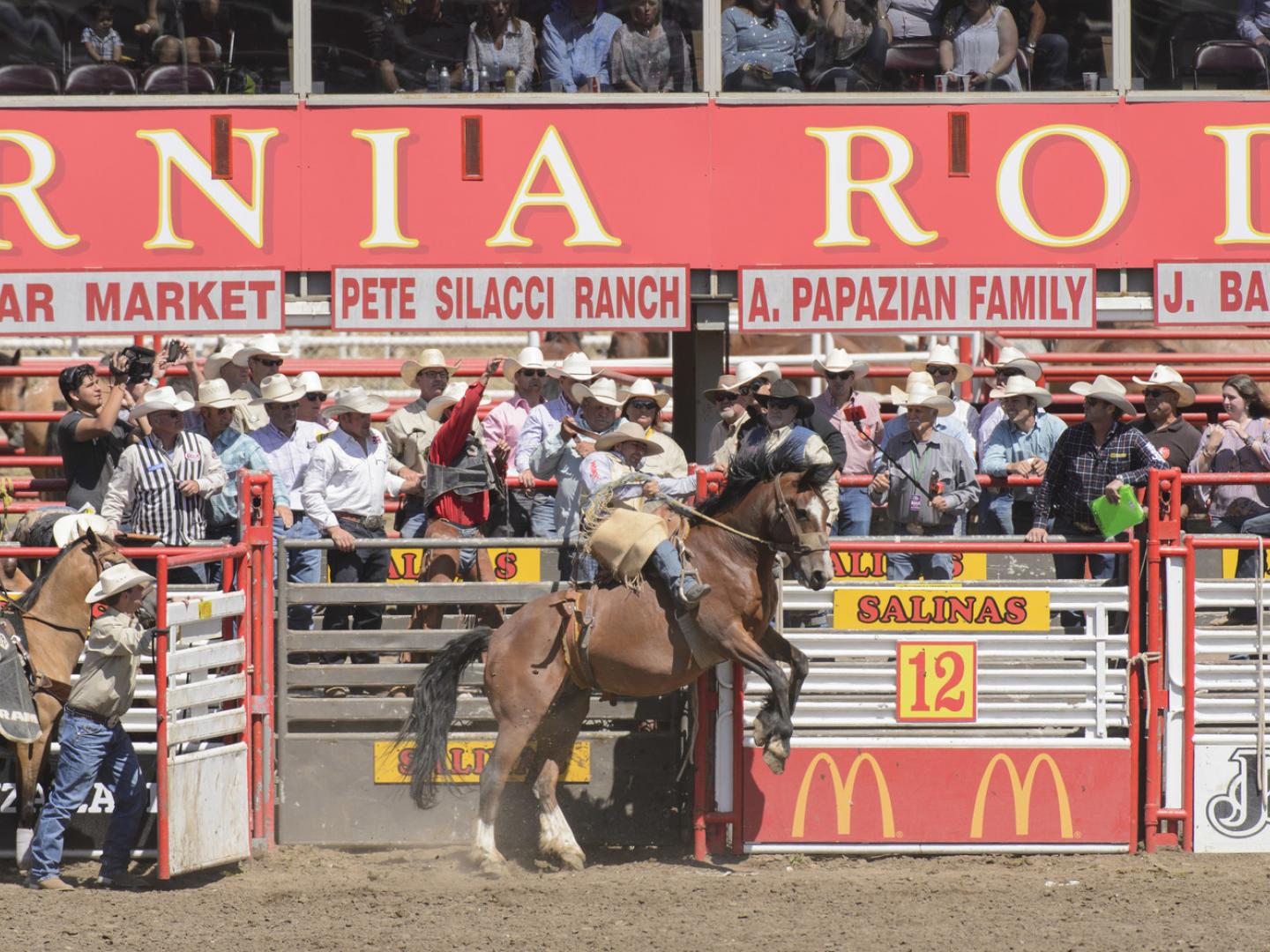 Getting rowdy at the Salinas Rodeo