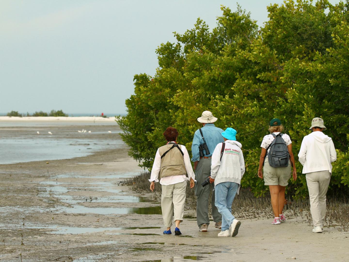 Ornithologues explorant Rookery Bay pendant le Southwest Florida Festival of Birds