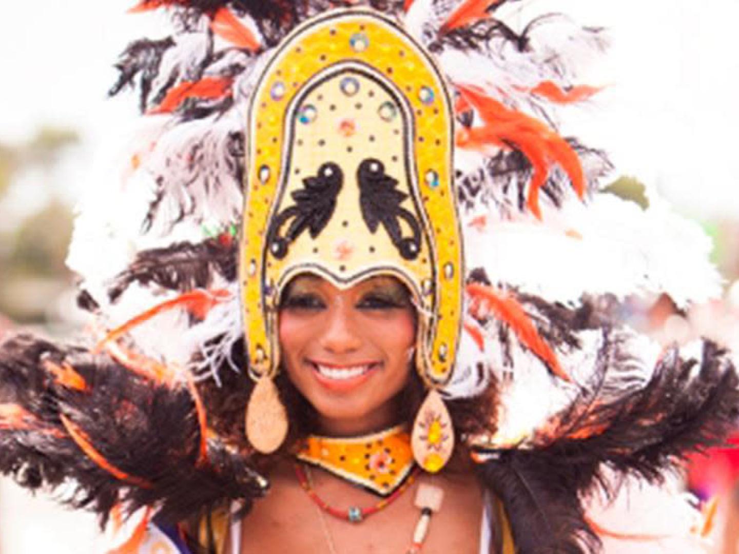 Carnival celebrating culture and heritage in Miami, Florida