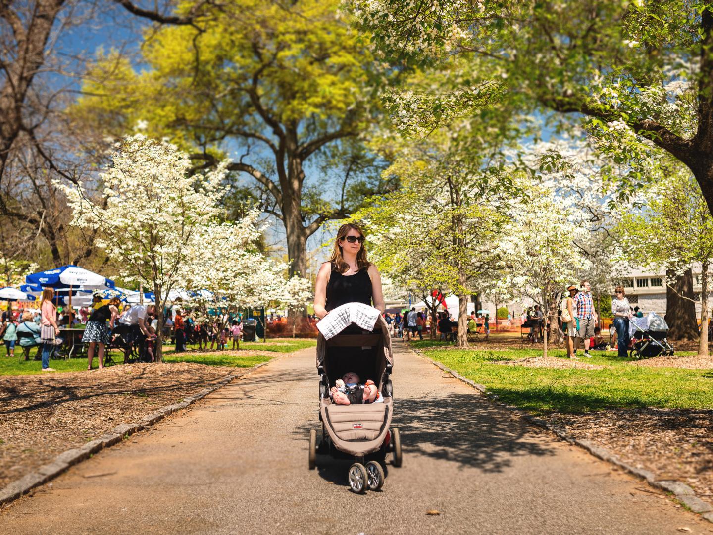 Families enjoying the Atlanta Dogwood Festival under blooming dogwood trees