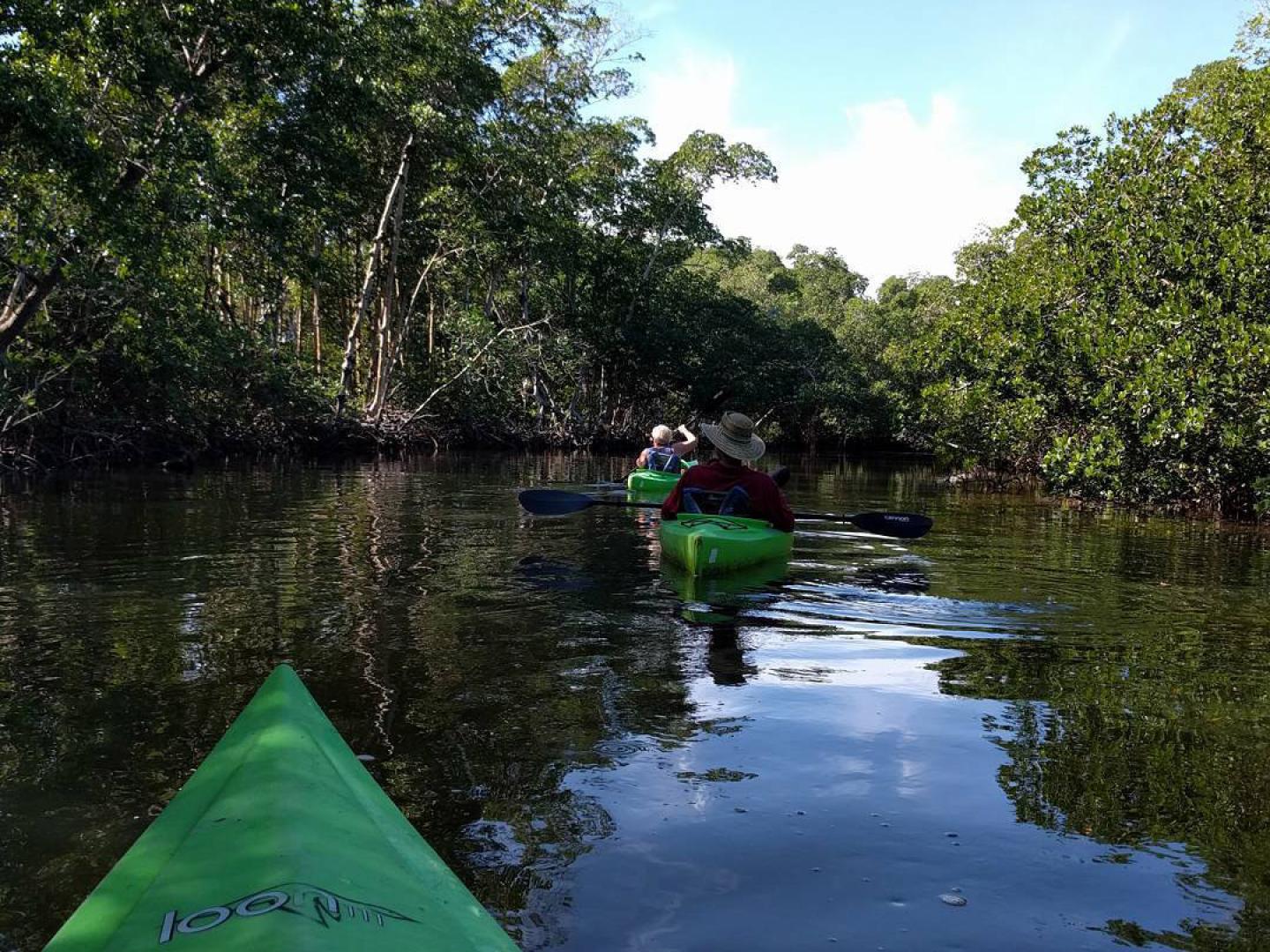 Kayaking in J.N. “Ding” Darling National Wildlife Refuge on Sanibel Island, Florida