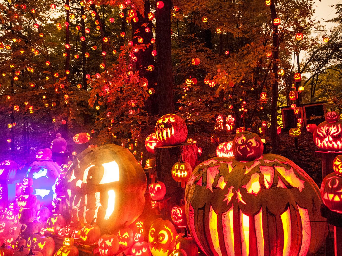 Thousands of jack-o'-lanterns on display in Iroquois Park during Jack-O-Lantern Spectacular in Louisville, Kentucky