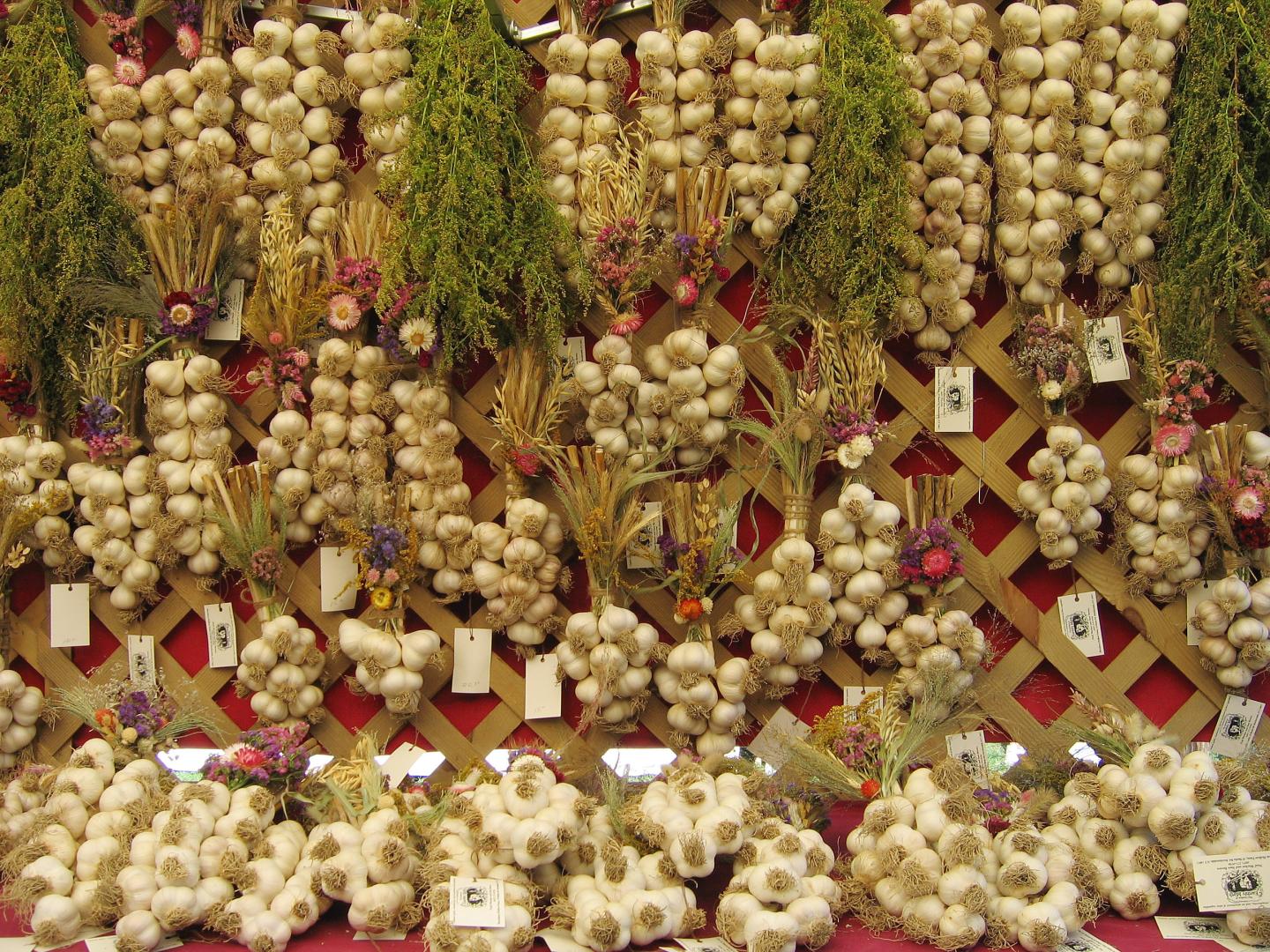 Earthly Mirth Garlic Braids at Cantine Field, Saugerties, New York