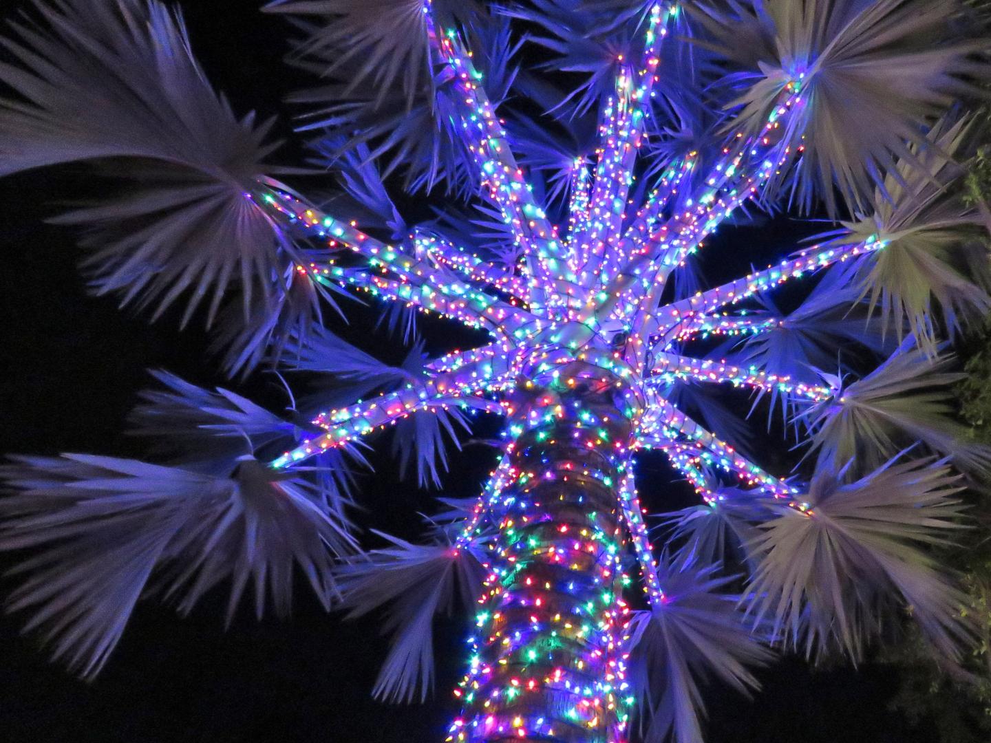 Lumières de fêtes de fin d’année sur Marina Square à Fort Pierce, en Floride