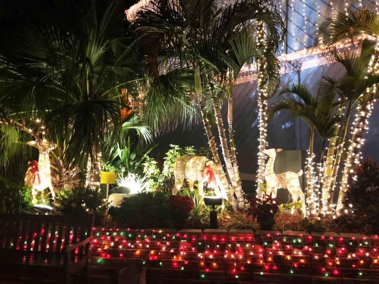 Colorful lights line the palm trees at Fishermen's Village in Punta Gorda, Florida