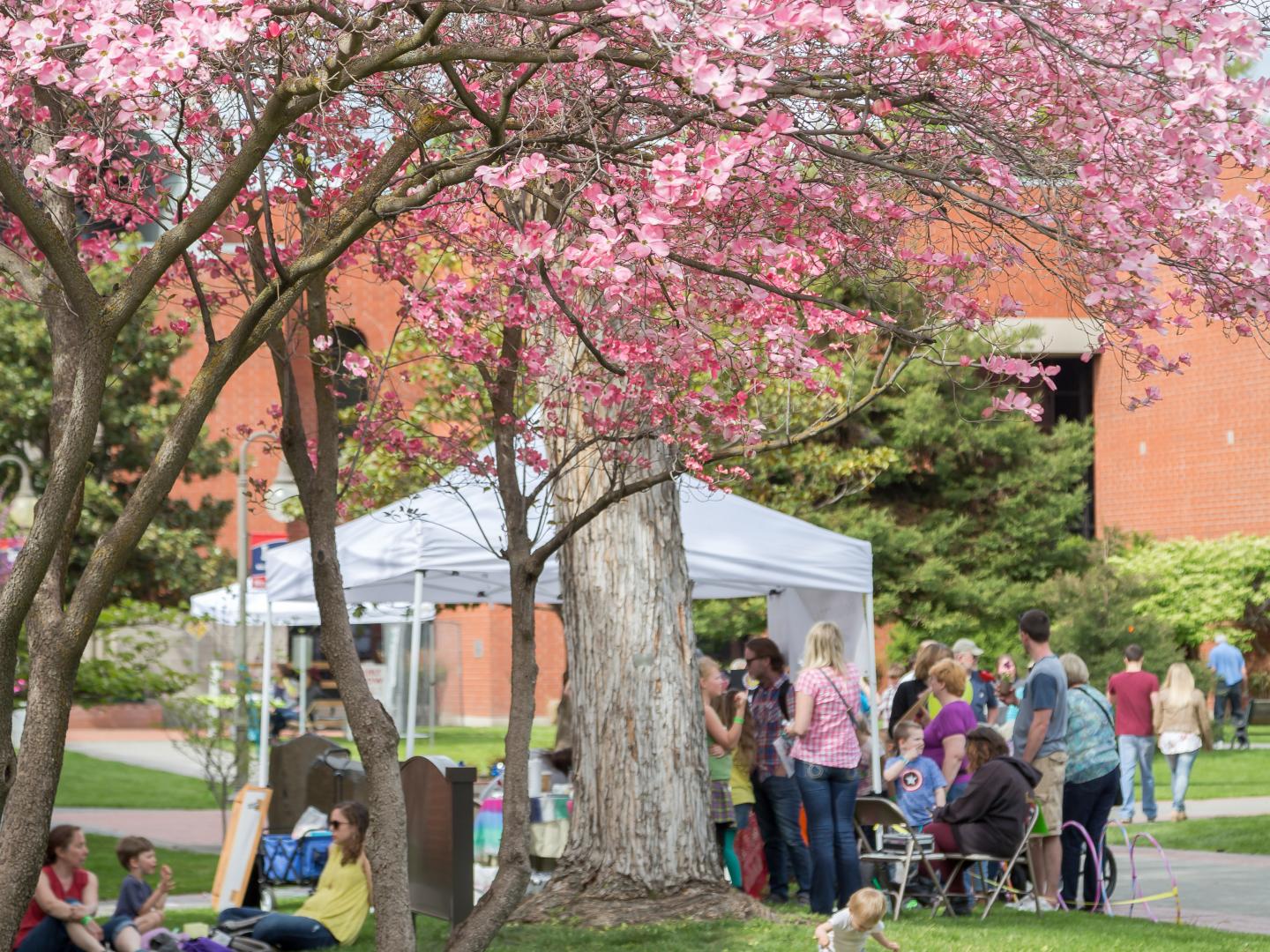 Dogwood Festival’s Art Under the Elms at Lewis-Clark State College in Lewiston, Idaho
