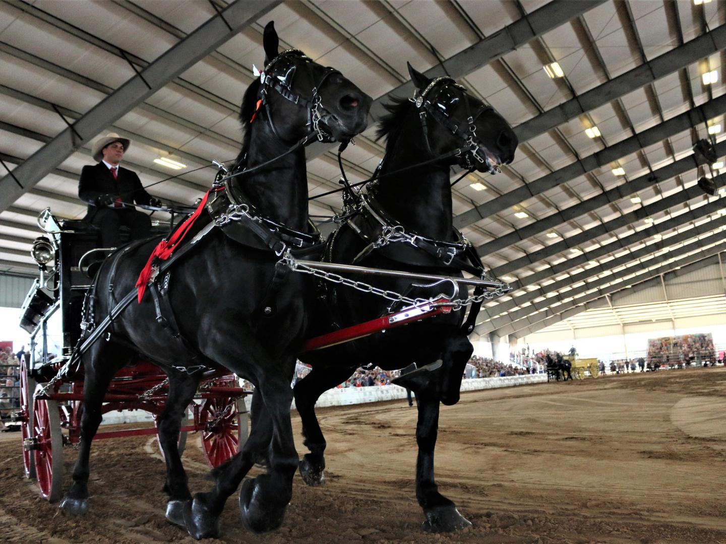 Le spectacle équestre Grandview Invitational Horse Show à Ocala, Floride