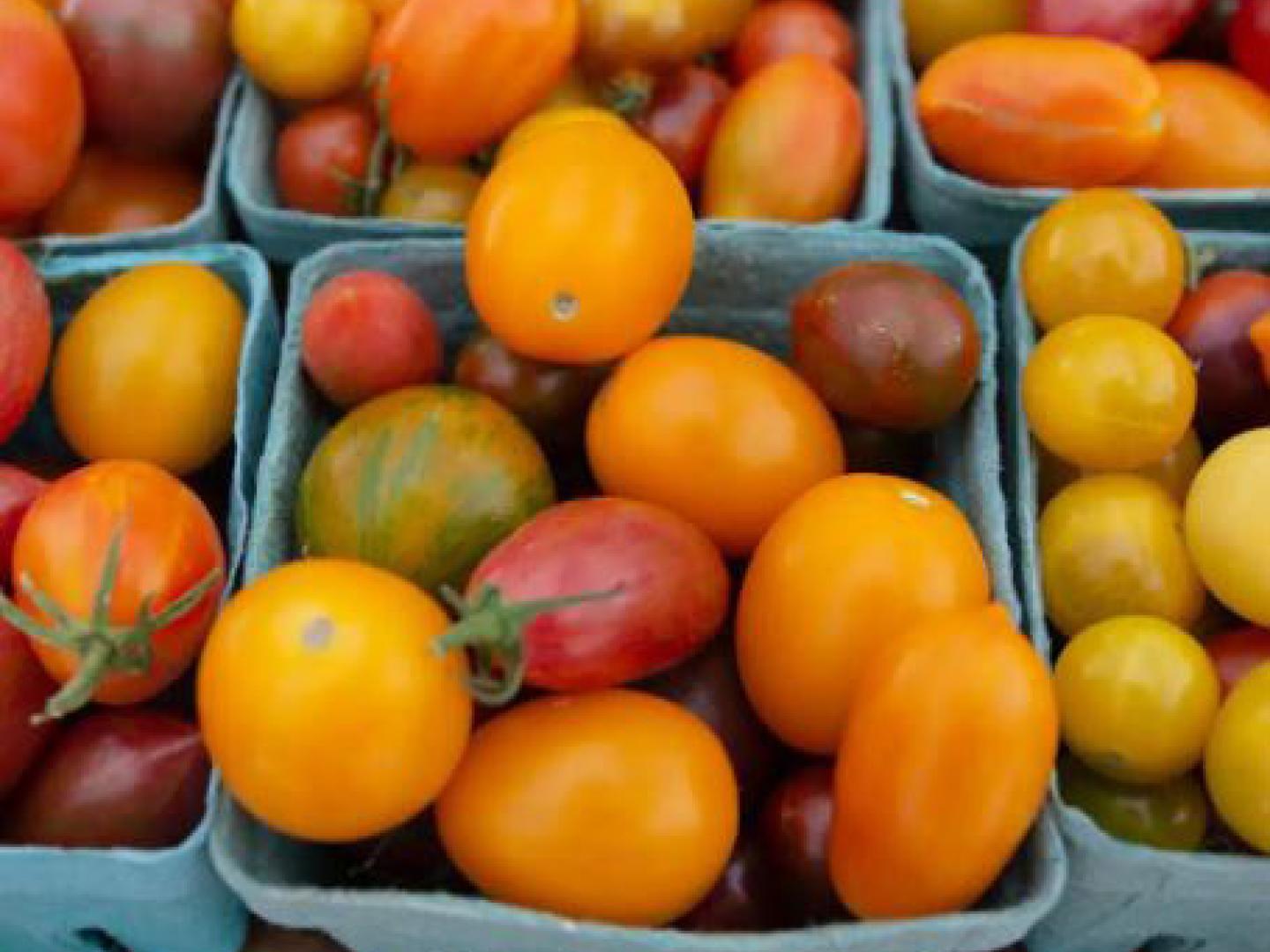 Prachtvolle regionale Erzeugnisse beim Vail Farmers’ Market and Art Show in Colorado