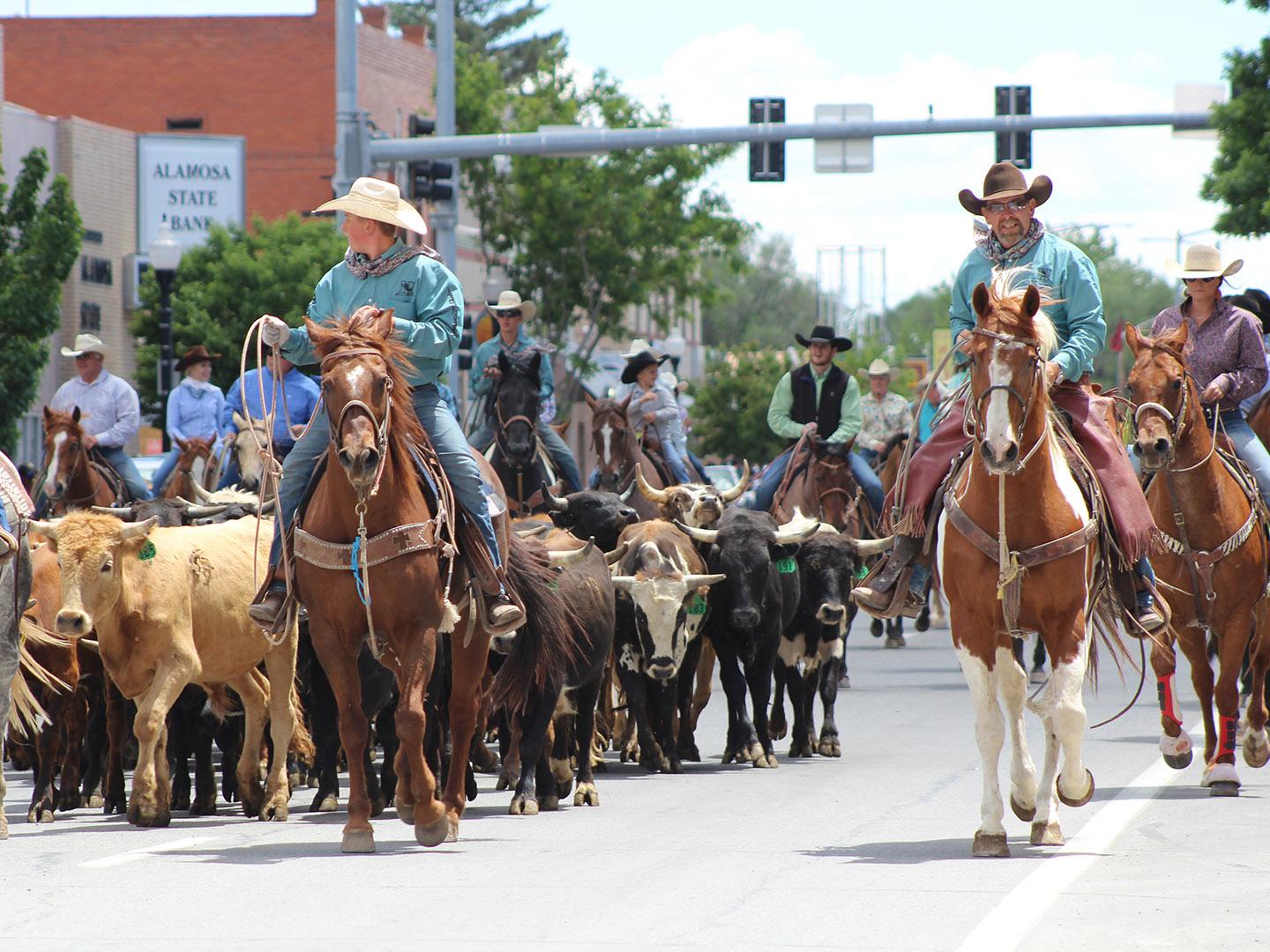 연례 알라모사 라운드업 기간 동안 말과 롱혼이 콜로라도주 알라모사 거리를 행진합니다