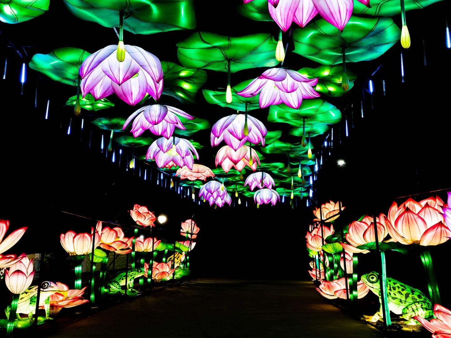 Illuminated decorations at the Lantern Festival at John Ball Zoo in Grand Rapids, Michigan