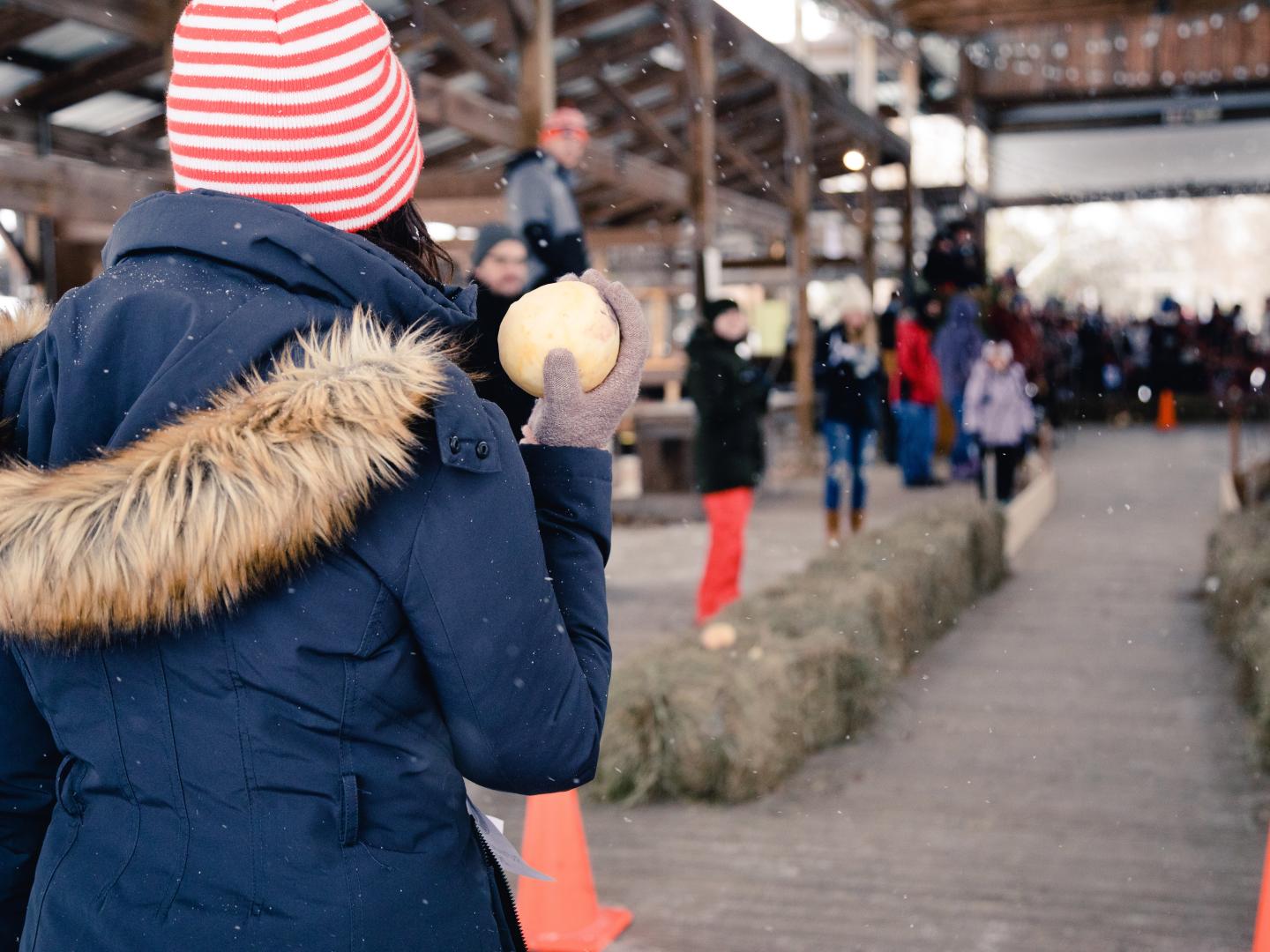 Rutabaga  Curl at the Ithaca Farmers Market in Ithaca, New York