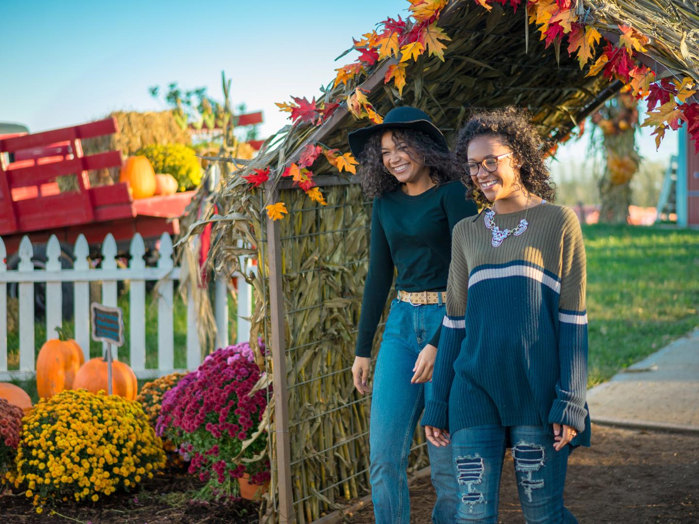 ミズーリ州ジェファーソンシティのフィッシャー・ファームズ・パンプキン・パッチを散策しています