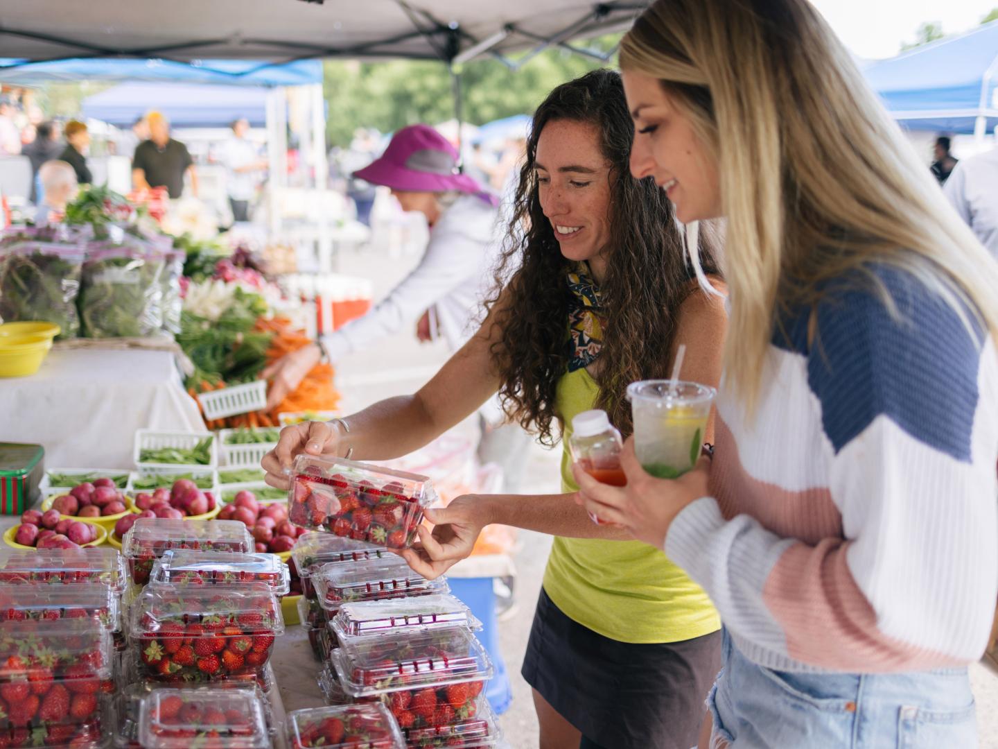 Browsing the Clark Fork River Market in Missoula, Montana