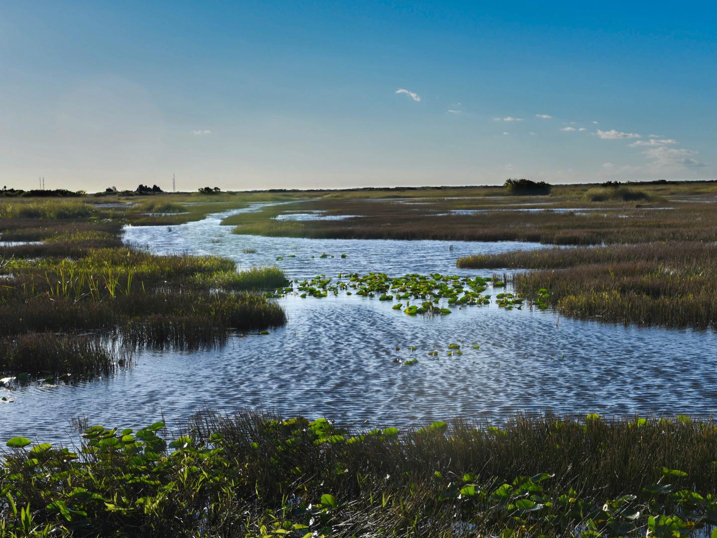 Watery canal in the Florida Everglades