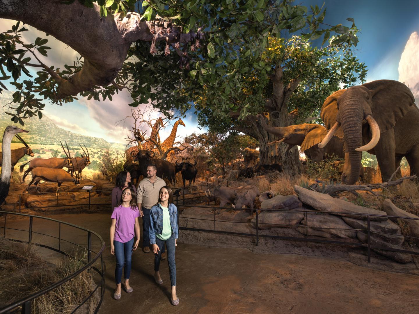 ミズーリ州スプリングフィールドのワンダーズ・オブ・ワイルドライフ国立博物館 & 水族館の展示品を見て回る家族