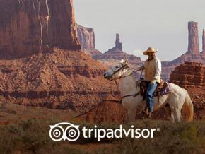 TripAdvisor promo TripAdvisor promo