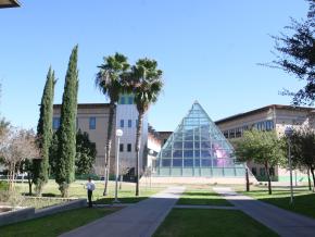 The Texas A&M International University Lamar Bruni Vergara Planetarium and grounds