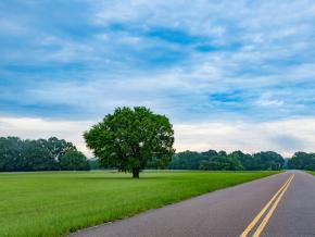 Apreciando as vistas e dirigindo pela Natchez Trace Parkway Apreciando as vistas e dirigindo pela Natchez Trace Parkway