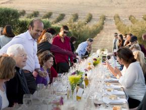 在葡萄园的晚宴上品尝当地葡萄酒 在葡萄园的晚宴上品尝当地葡萄酒