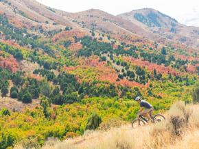 Fall mountain biking excursion in Pocatello Fall mountain biking excursion in Pocatello